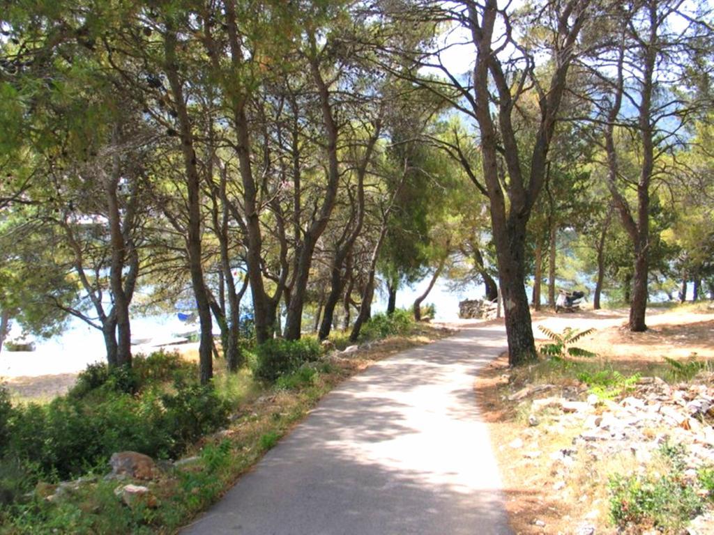 Apartment Falcon Stari Grad  Rum bild