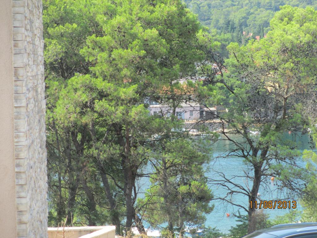 Apartment Falcon Stari Grad  Rum bild
